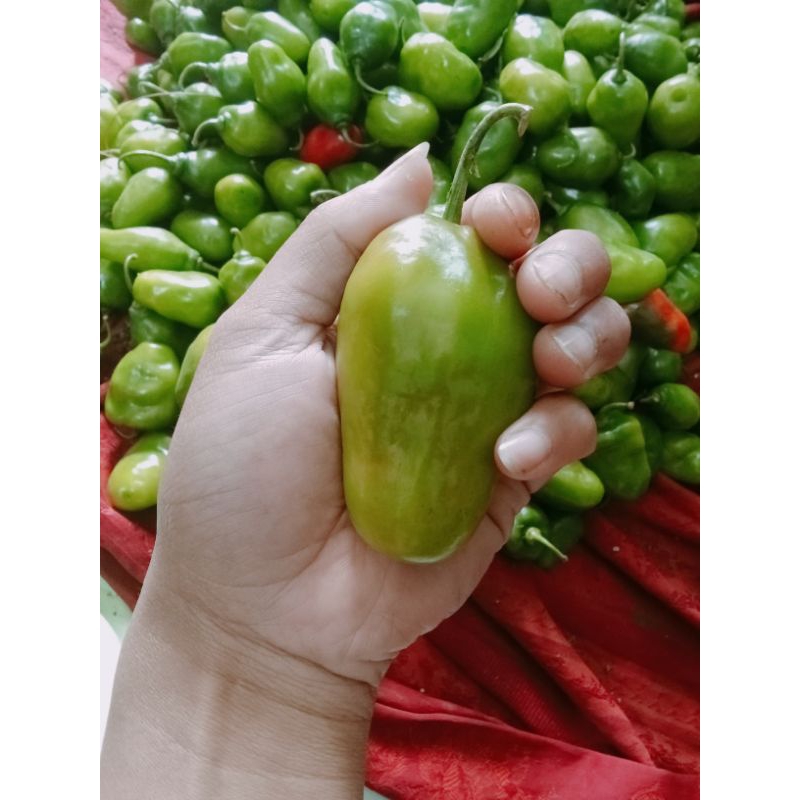 

1000 gr cabe gendot Bandung