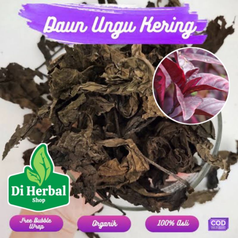 

Daun Unggu Kering Handeleum Herbal Wasir Per 50 Gram