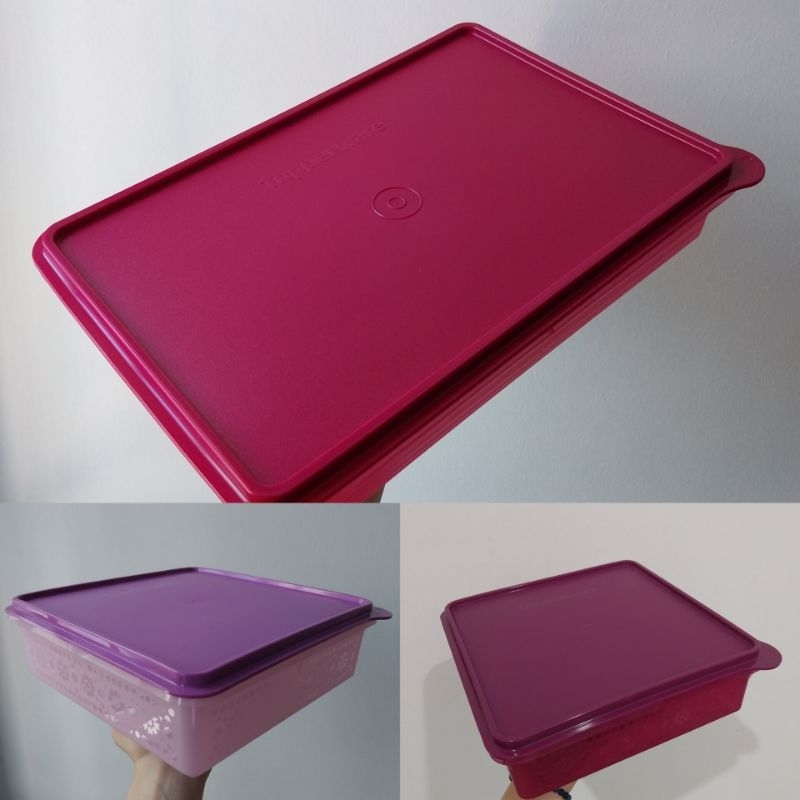 NEW Tupperware Mosaic Snack Stor Slice Stor