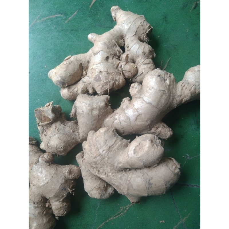 

jahe emprit besar kwalitas super 500 gram.