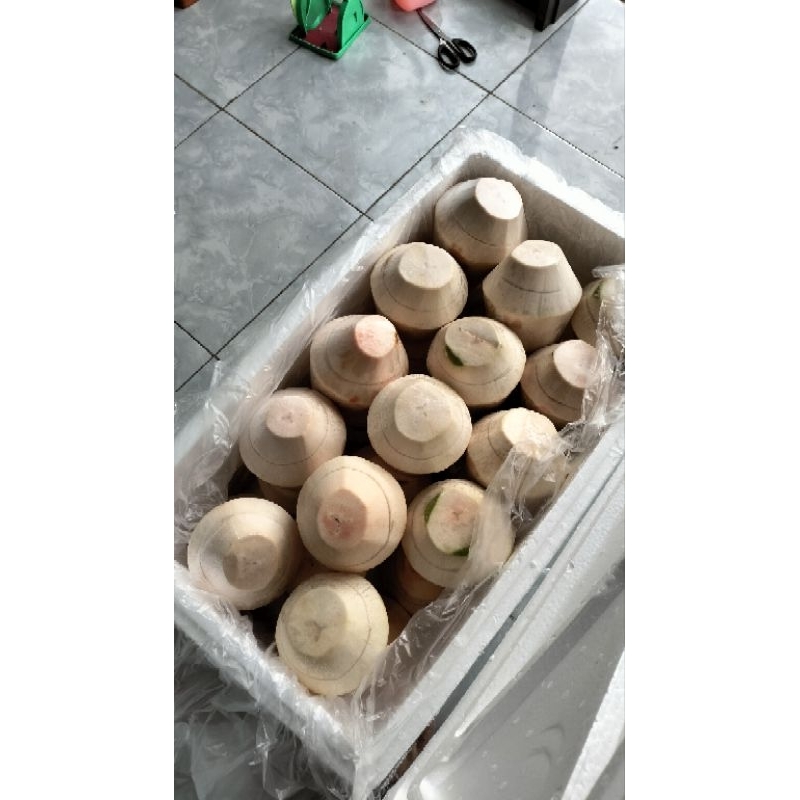 

kelapa jelly/ degan jelly