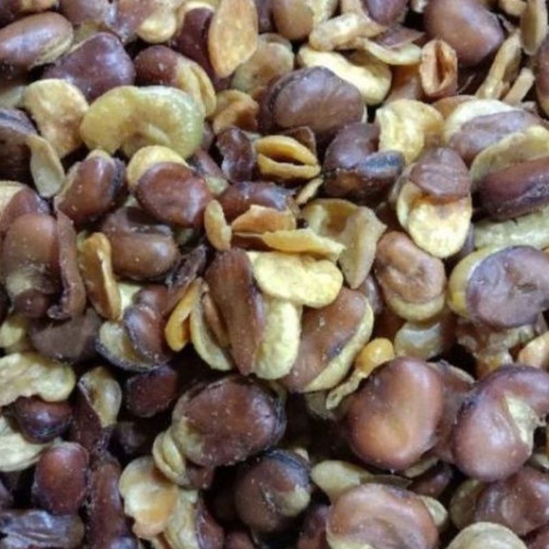 

kacang koro kulit