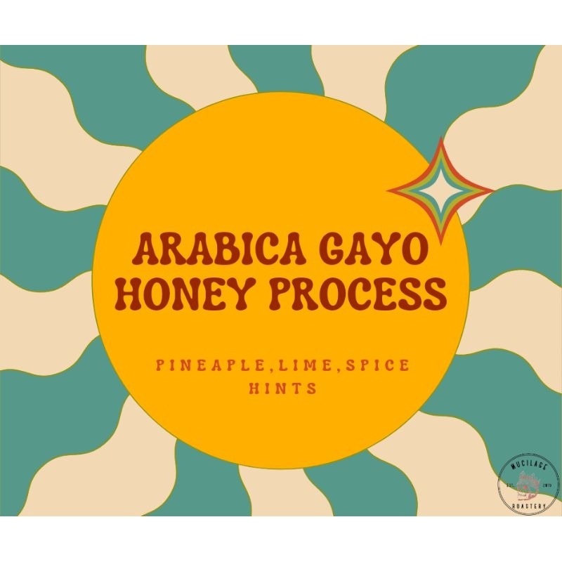 

KOPI ARABIKA GAYO HONEY PROCESS/250 Gram/Premium Quality