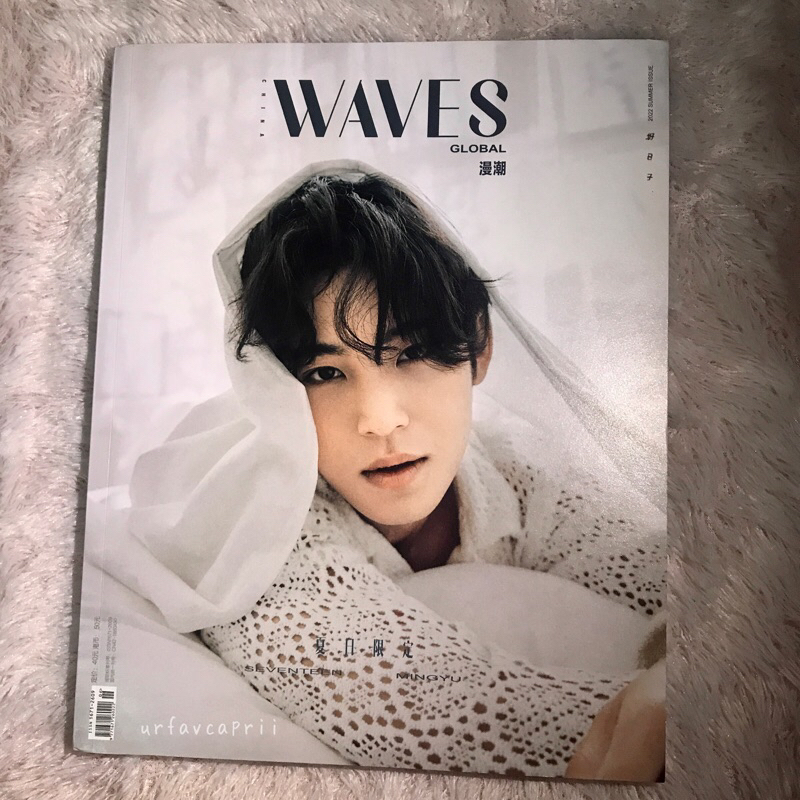 Magz Mingyu Waves Seventeen