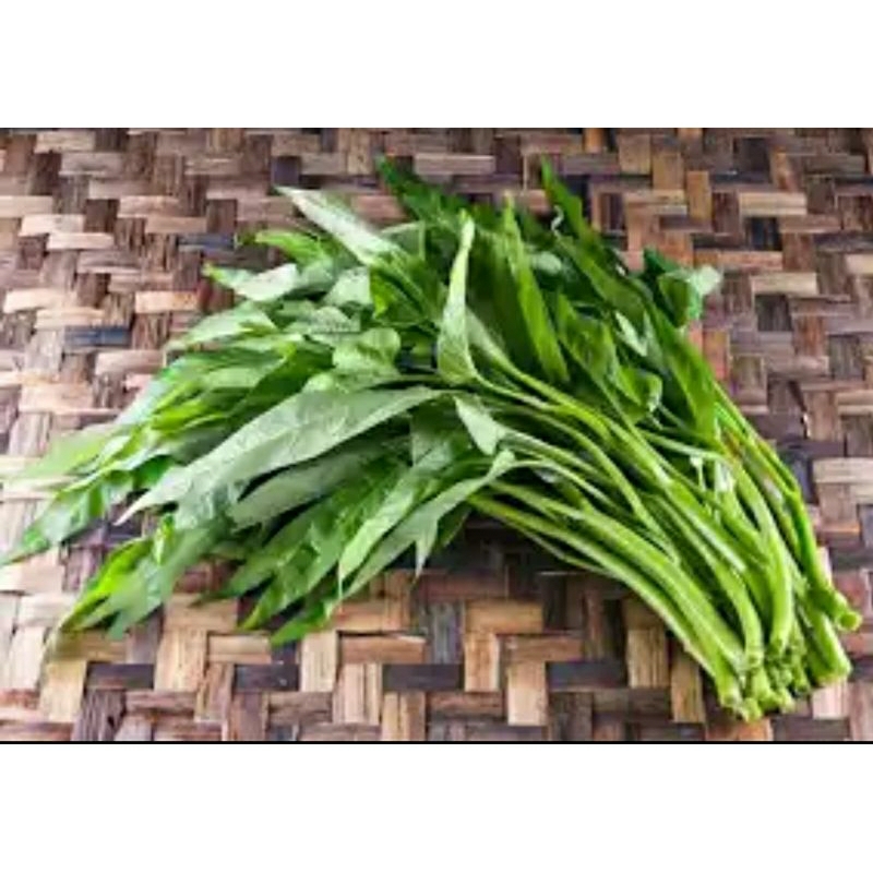 

kangkung