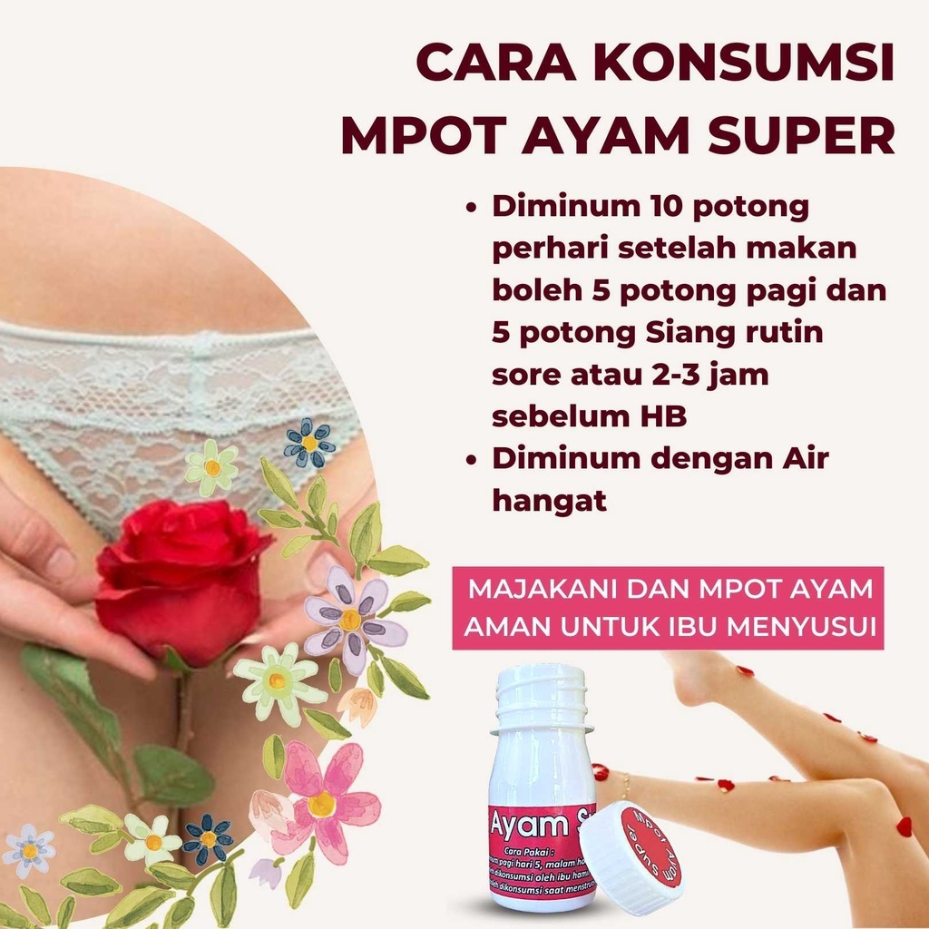 MPOT SUPER ASLI MADURA | EMPOT AYAM MADURA ASLI | MPOT AYAM ORIGINAL