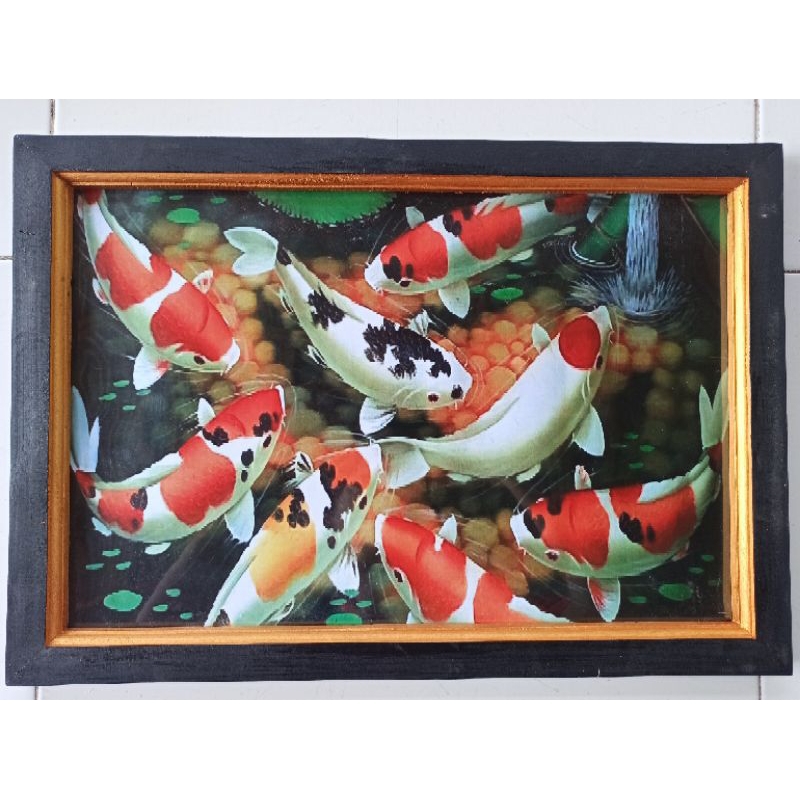 hiasan dinding cetak poster ikan koi plus bingkai ukuran (53cmx35cm)