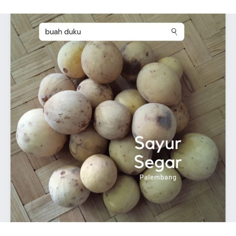 

Buah Duku per kg Sayur Segar Palembang
