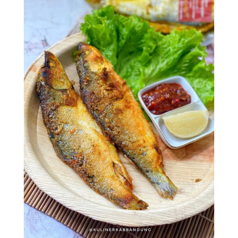 

Bandeng presto besar || bandeng presto tulang lunak || bandeng bumbu kuning || bandoeng bandeng