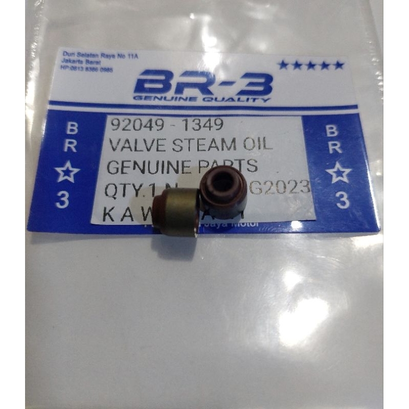 SEAL KLEP NINJA KARBU 250 FI BR-3 2PCS