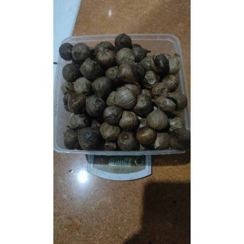 

BLACK GARLIC 1KG UKURAN BESAR