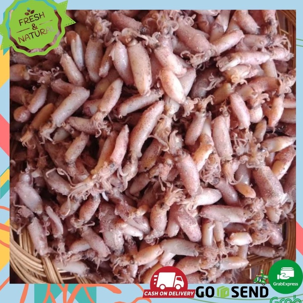 

Buruan Beli BABY CUMI CUMI KERING ASIN 1 KG 24cm FRESH