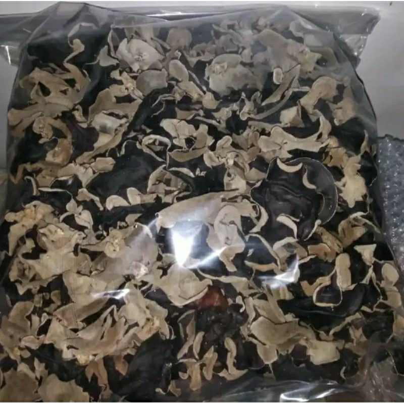 

Jamur kuping kering 100grm kwalitas super A