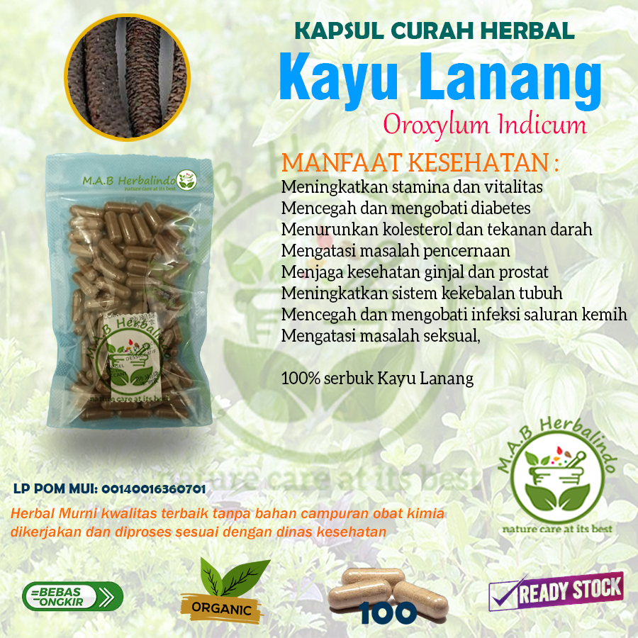 Kayu Lanang Oroxylum Indicum100 Kapsul Curah Herbal Stamina Pria