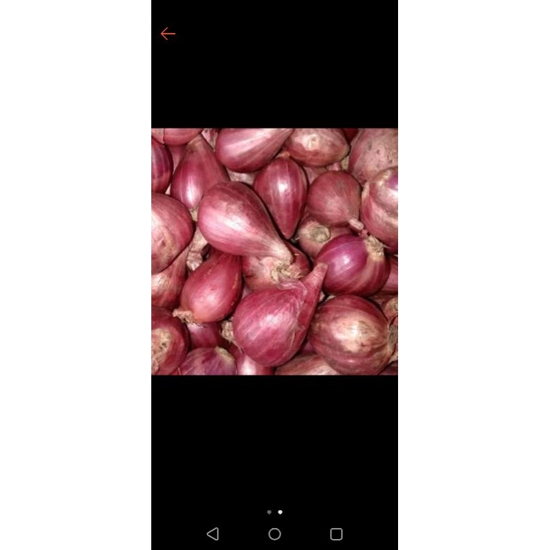 

Bawang merah