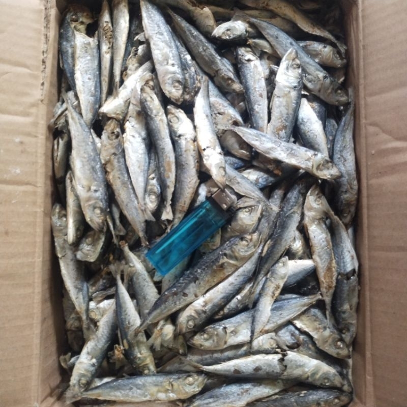 

Ikan Asin Layang Rebus 500 gram