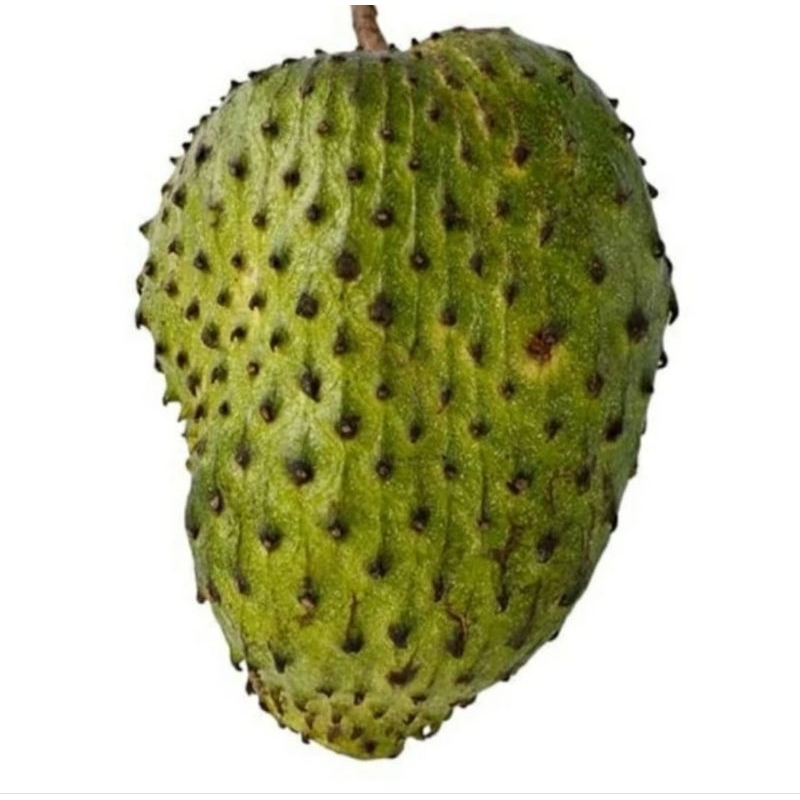 

Buah Sirsak Fresh 500gr