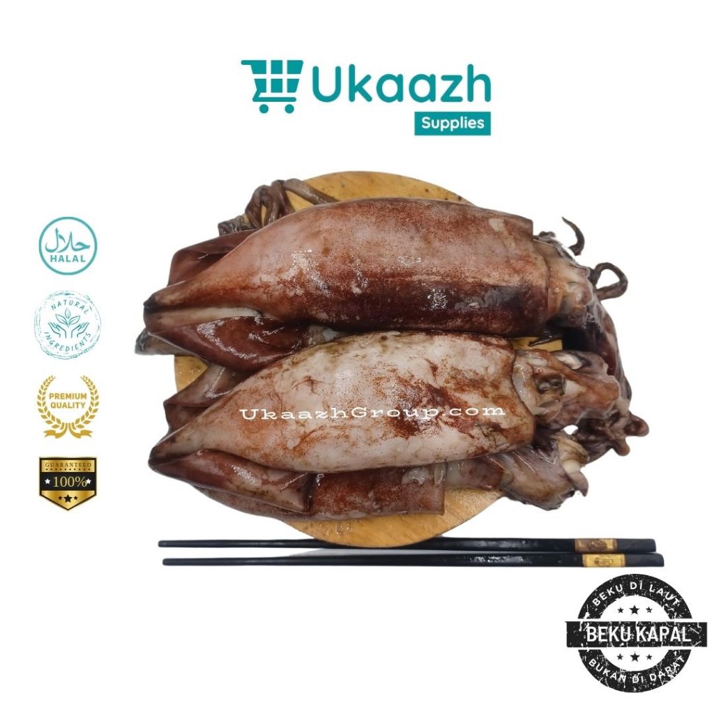 

Ukaazh Cumi Jumbo 1 Kg 1.000 Gram Beku Kapal Laut Frozen Segar