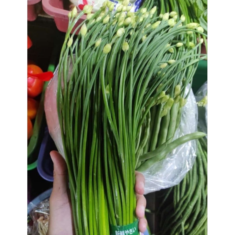 

SAYUR KUCAI IMPORT / KEMBANG KUCAI IMPORT / Daun kucai