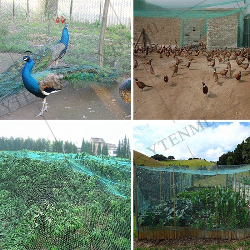 New Tali Nilon Terkuat Jaring Ayam Jaring Pagar Ayam Jaring Pagar Tanaman Lebar 2,5 Meter X Panjang