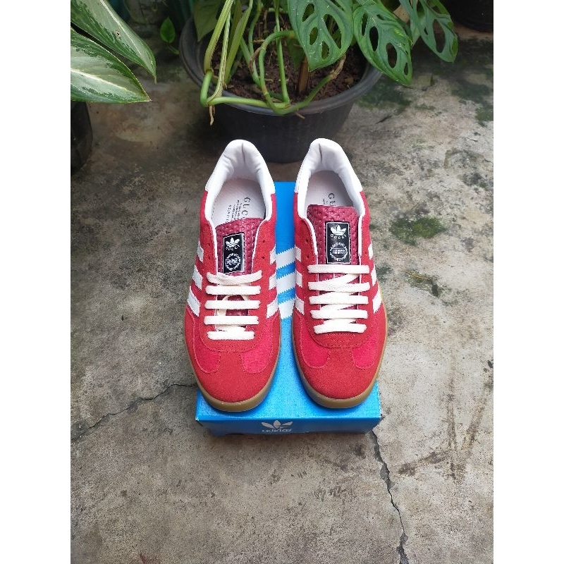 Adidas Gazelle X Gucci