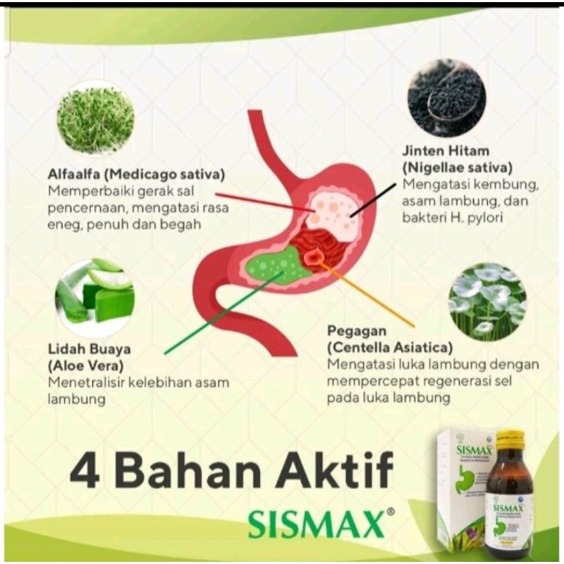 Obat Maag Herbal SISMAX Formula Herbal Untuk Lambung