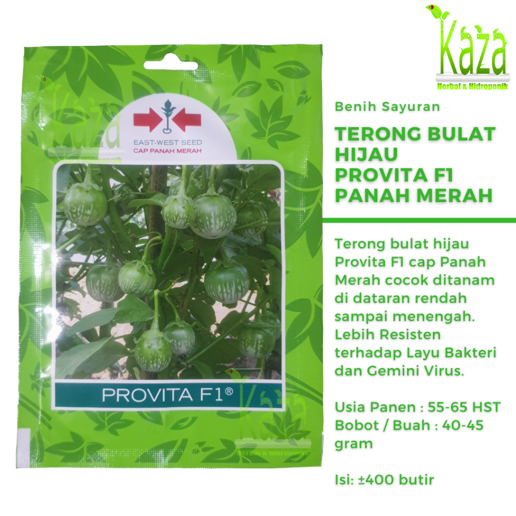 Benih Terong Lalap Bulat Hijau Provita F1 400 butir - Terung Cap Panah Merah