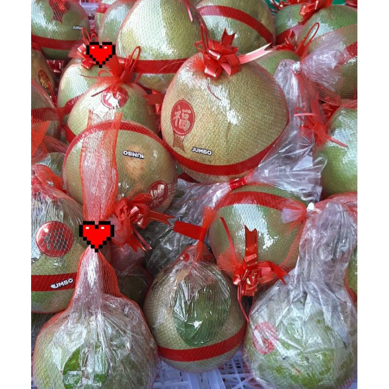 

pamelo jumbo(1)