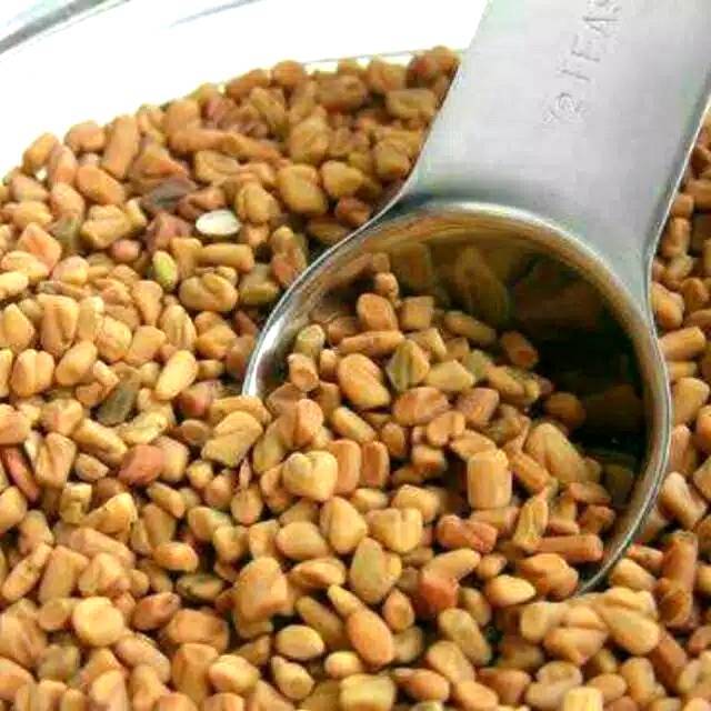 

Fenugreek / Halba / Klabet Seed / Extract Powder.