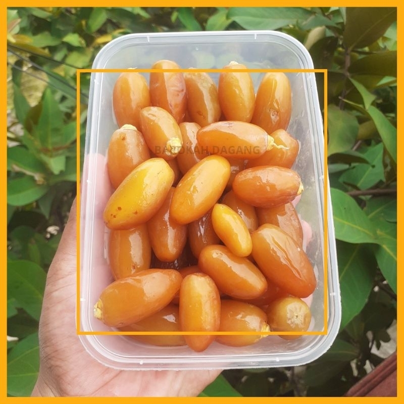 

Kurma basah Original Promil Pelangsing Diet oleh-oleh haji dan umroh promo romadhon