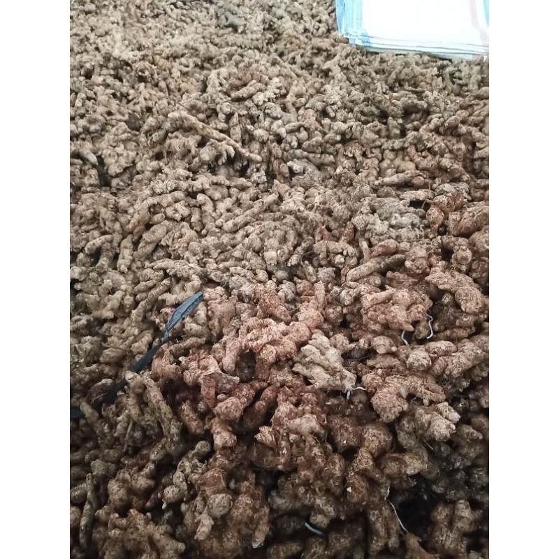 

Jahe Emprit Asli