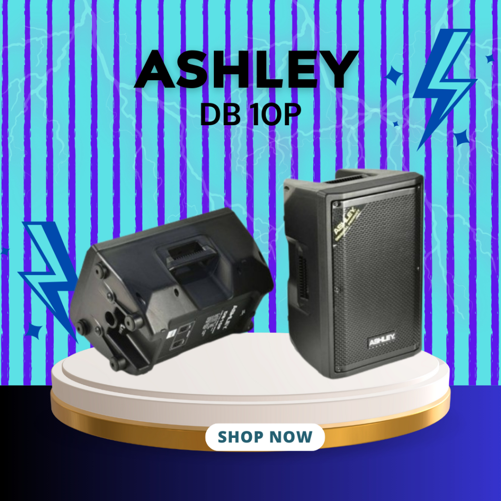 SPEAKER PASIF ASHLEY DB 10P / DB 10 P / DB-10P 10 INCH TWO WAY FULL RANGE GARANSI RESMI ASHLEY