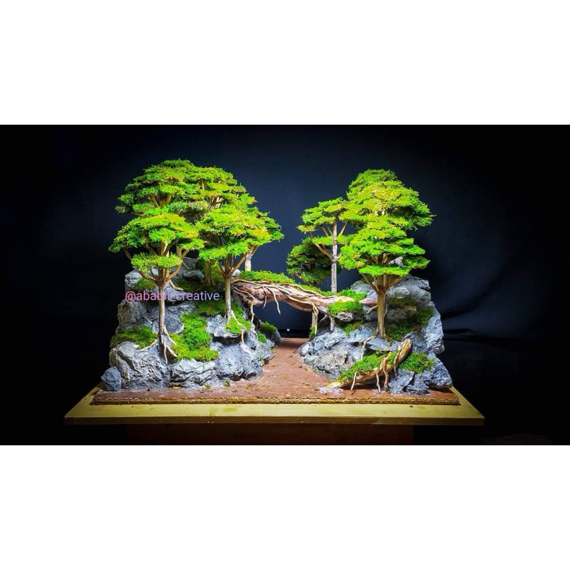 HARDSCAPE HUTAN PINUS 60 CM | HARDSCAPE AQUASCAPE SIAP PAKAI | HARDSCAPE AQUASCAPE | HARDSCAPE BONSA