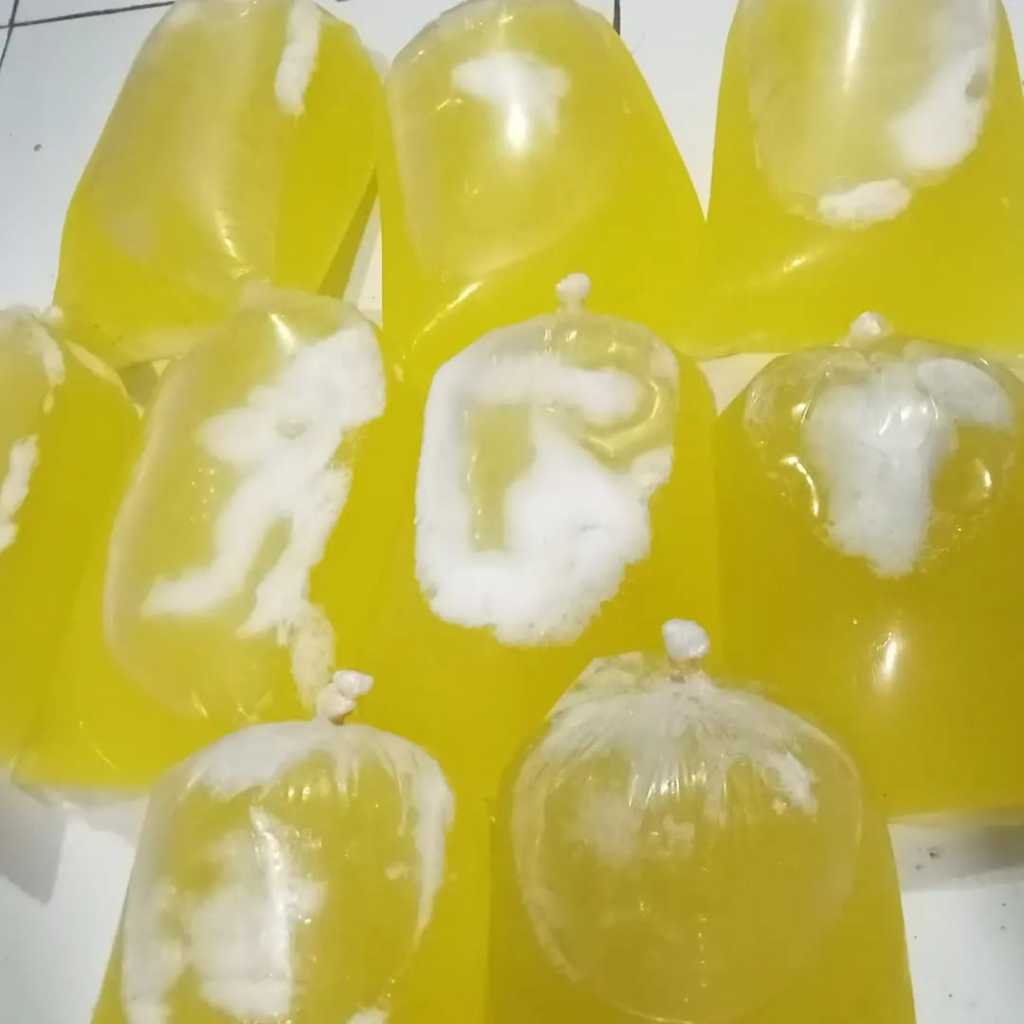 

Putih Telur Mentah Fresh 5KG