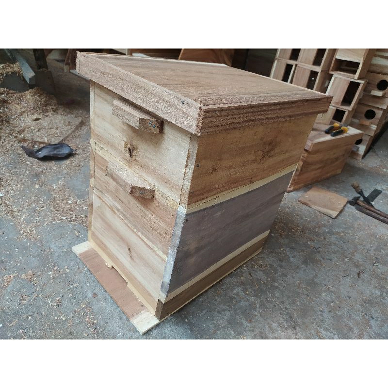 Kotak Lebah Apis Cerana Tawon Madu Model Tingkat  Bingkai Sebelas Siap Beternak Sukses Untuk Koloni 