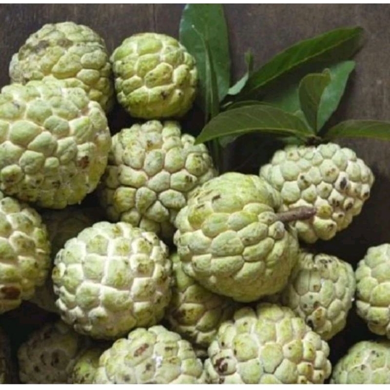 

buah srikaya fresh 1 kg / srikaya manis fresh 1 kg