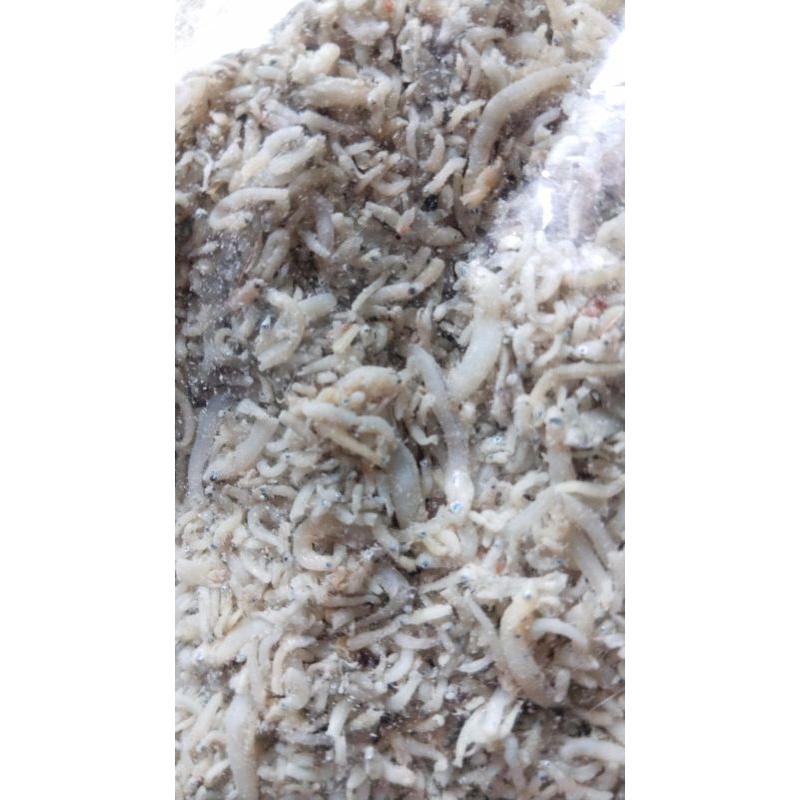 

teri nasi medan