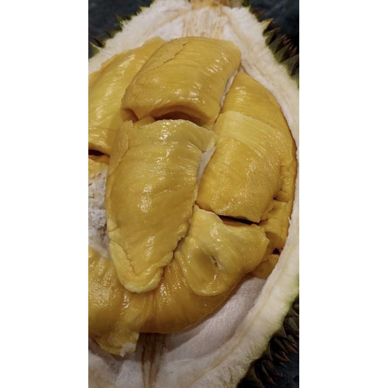 Pupuk Boster Durian