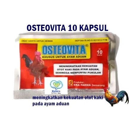 OSTEOVITA 10 KAPSUL OBAT AYAM ADUAN PENGUAT OTOT KAKI