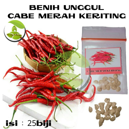 Benih Cabe Merah Keriting Benih Bibit Cabai Rawit konsumsi Benih cabe merah besar