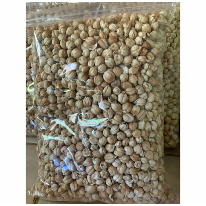 

Kapulaga putih bersih 1 kg