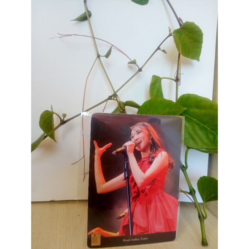 photocard JKT48 SHANI kick off