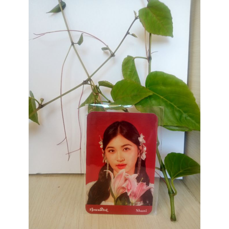 PHOTOCARD JKT48 SHANI FLOWERFULL 2023