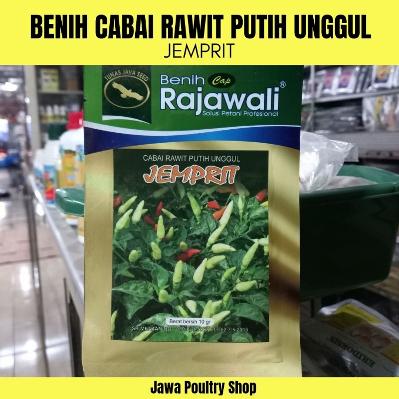 BENIH CABAI RAWIT PUTIH UNGGUL JEMPRIT - Benih cabai rawit premium isi 10gr
