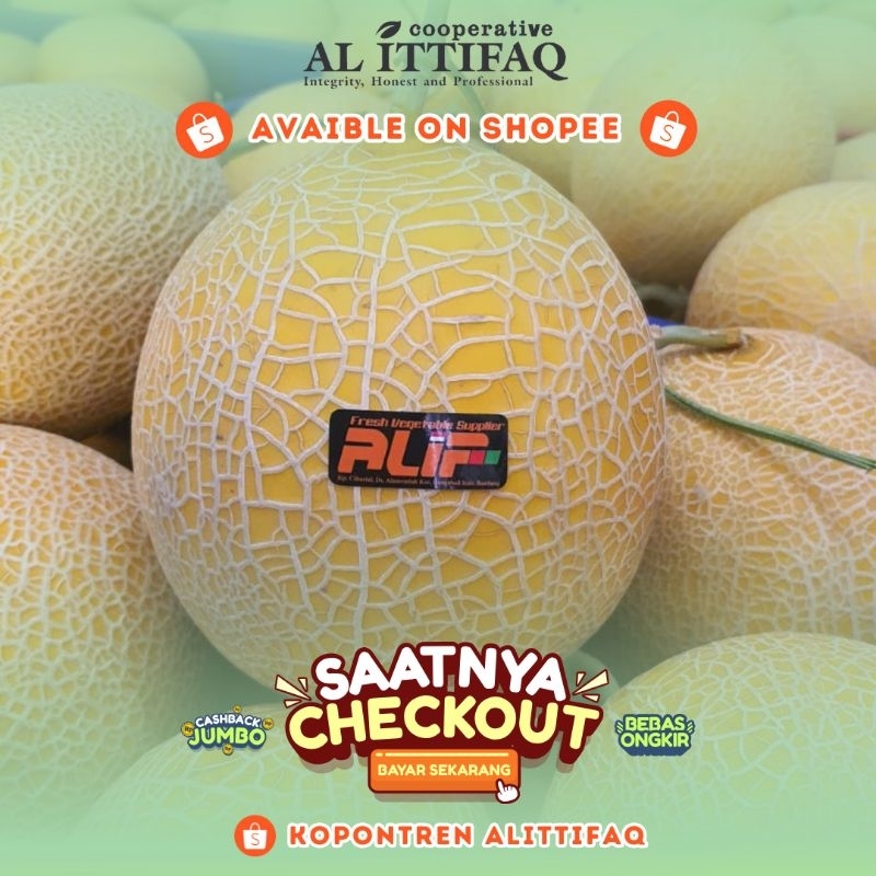 

Melon Inthanon Buah Segar Termurah Berkualitas Terbaik Kopontren Al Ittifaq Bandung