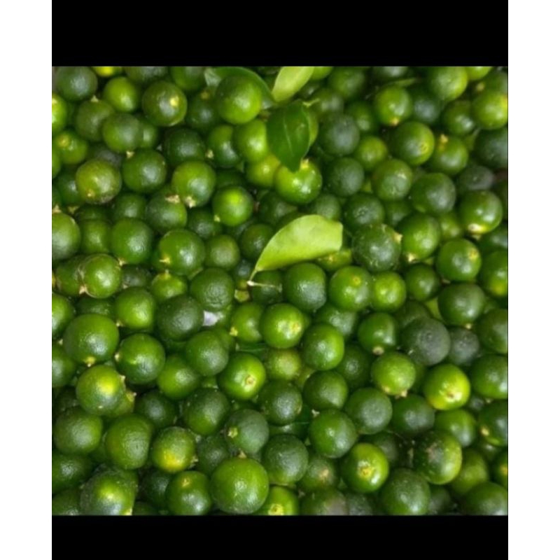 

jeruk sonkit jeruk kunci lemon cui 500gram
