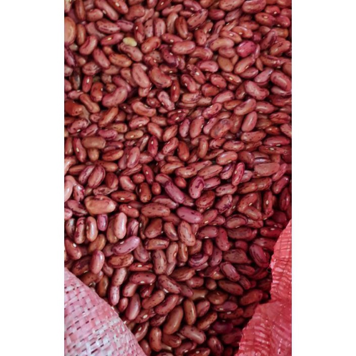

V44859 Kacang Merah Kacang Jogo 1 KG Ukuran Besar Premium Dijamin Fresh