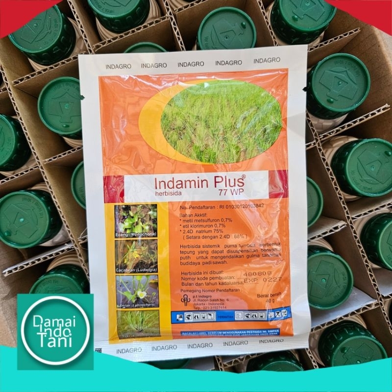 herbisida indamin plus 77 wp