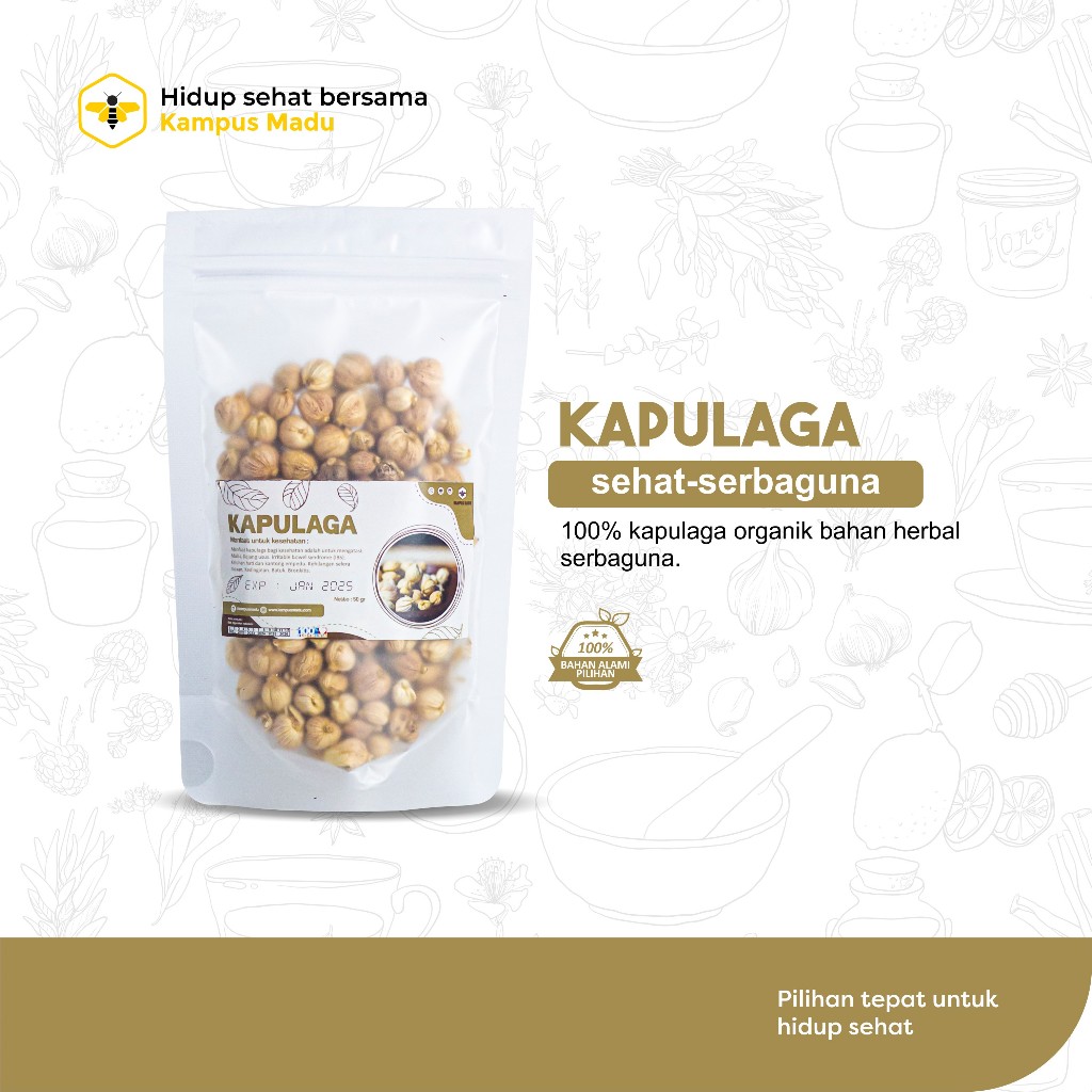 

Kapulaga Organik Kapulaga Putih Bersih Organik Bahan Herbal JSR
