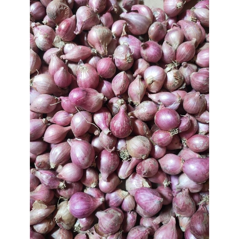 

Bawang merah 1 kg / bawang merah murah/Bawang merah kering